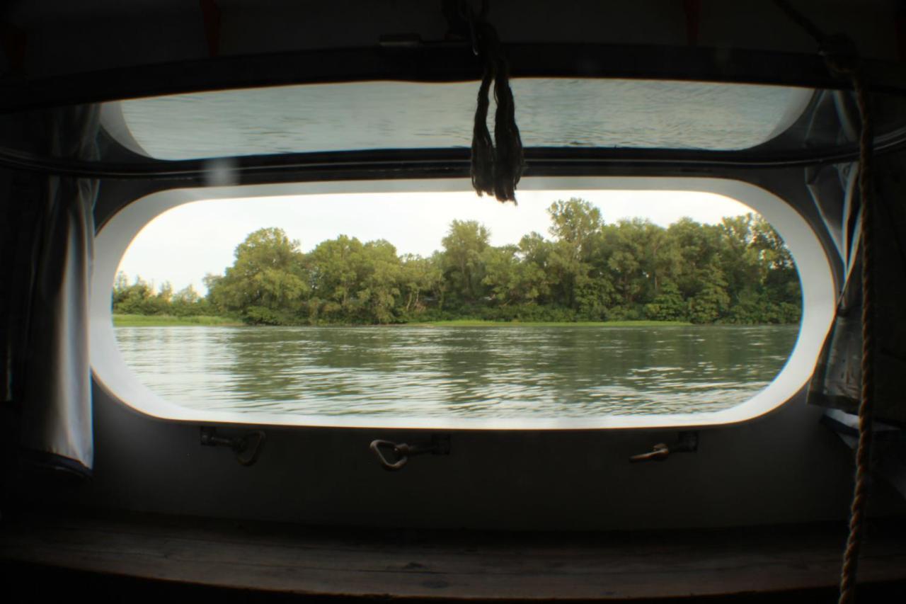 Péniche Espoir Botel Avignon